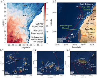 The carbonate system and air-sea CO2 fluxes in coastal and open-ocean waters of the Macaronesia